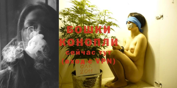 дмт Козловка