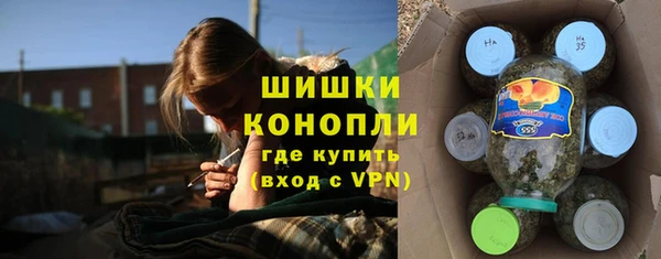 дмт Козловка