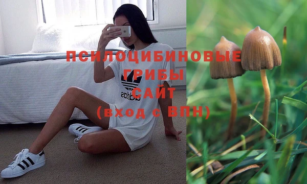 твердый Кодинск