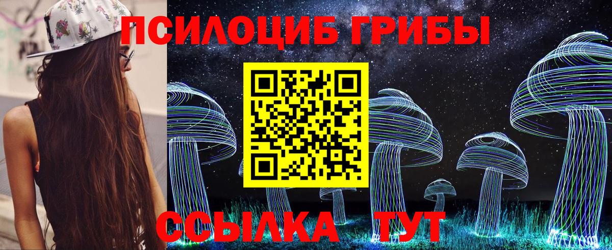 Моршанск  Галлюциногенные грибы Psilocybine cubensis  Вход с VPN 